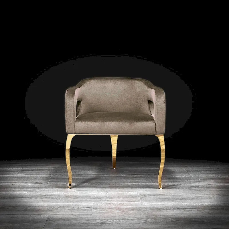 Chaise de salle à manger en acier inoxydable titane or