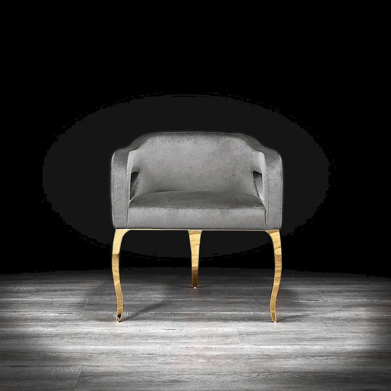 Chaise de salle à manger en acier inoxydable titane or