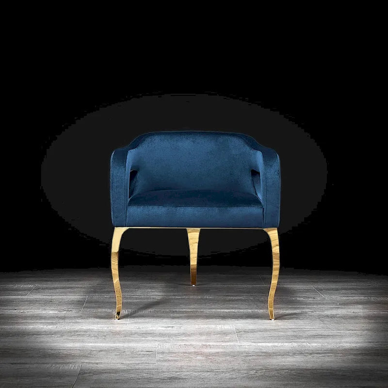 Chaise de salle à manger en acier inoxydable titane or