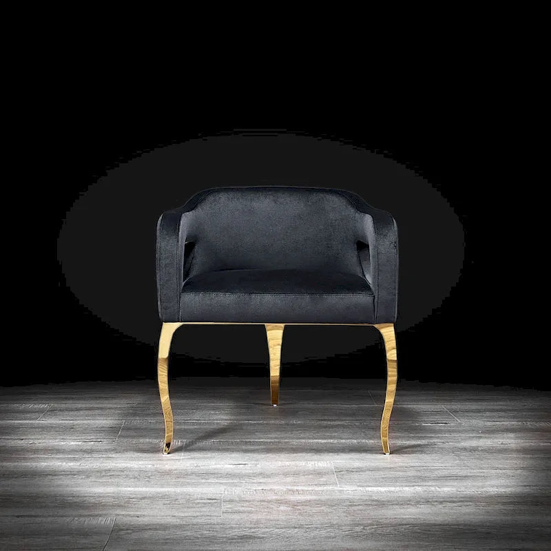 Chaise de salle à manger en acier inoxydable titane or
